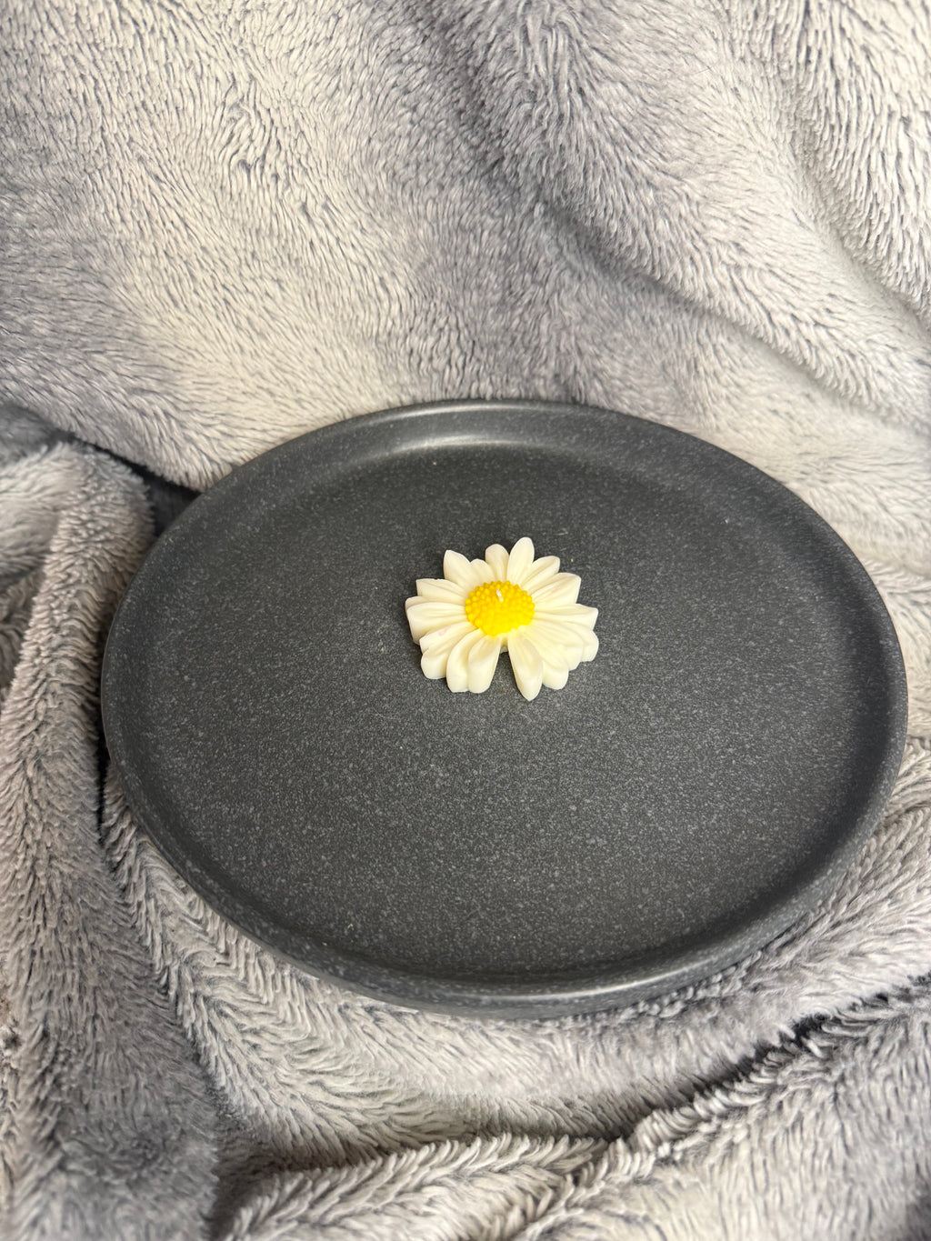 Gänseblümchen